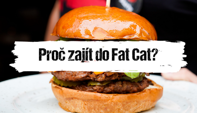 Článek