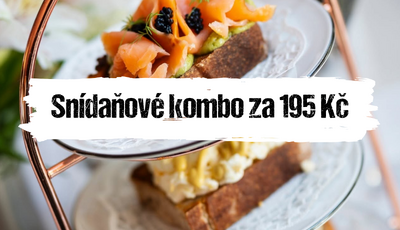 Článek