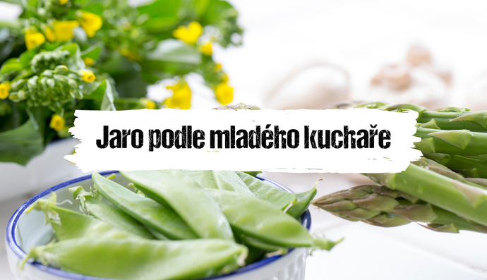 Článek